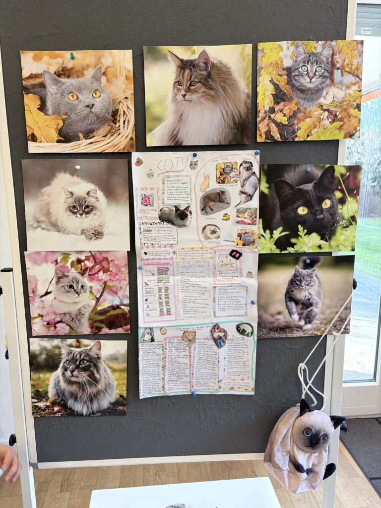 Polskie dzieci podczas zajęć w Klubiku Orzełki Luzern